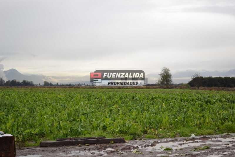 La Farfana