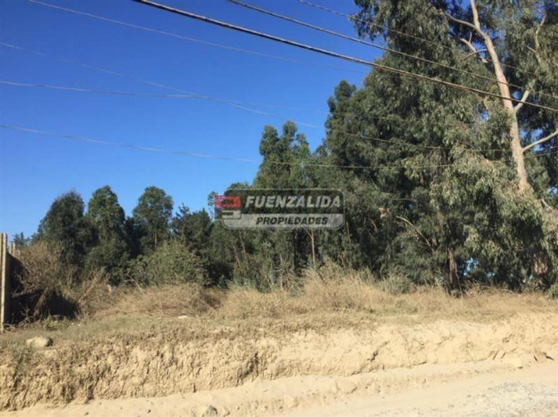 Reñaca Alto