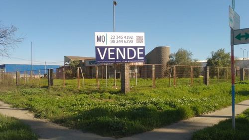 San Ignacio 100